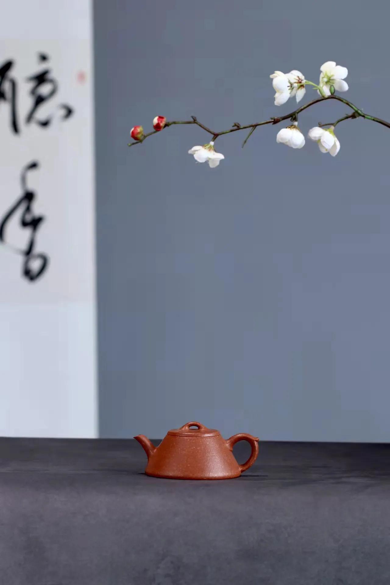 逸瓢制作视频,逸瓢紫砂壶靠谱吗