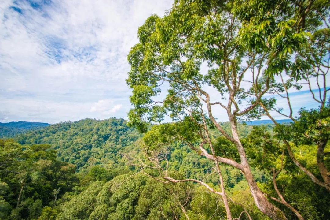 用黄金做房顶，人均5辆车，这个东南亚神秘国度比阿联酋还土豪