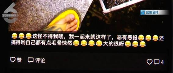 残忍至极！铁笼诱捕小猫水中溺毙，全程直播