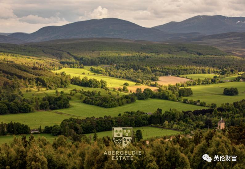 伦敦一套公寓价=万亩庄园,539年来首次出售,女王邻居.带森林河流