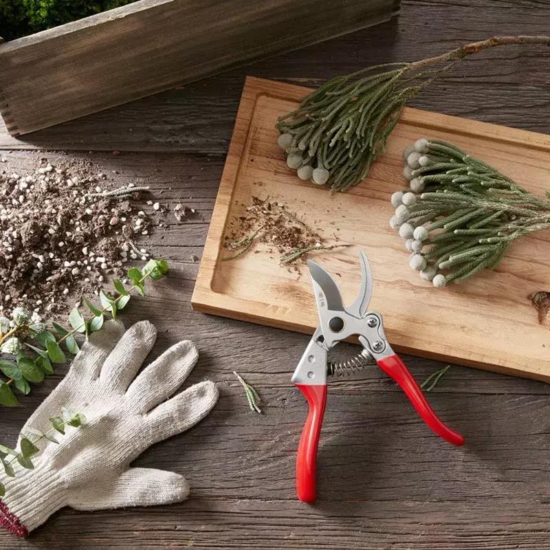 寮犲皬娉夊惔鏅撴尝,鍚存檽娉㈠紶灏忔硥