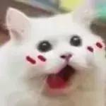 国内现在假冒化妆品有哪些,最新化妆品假货事件