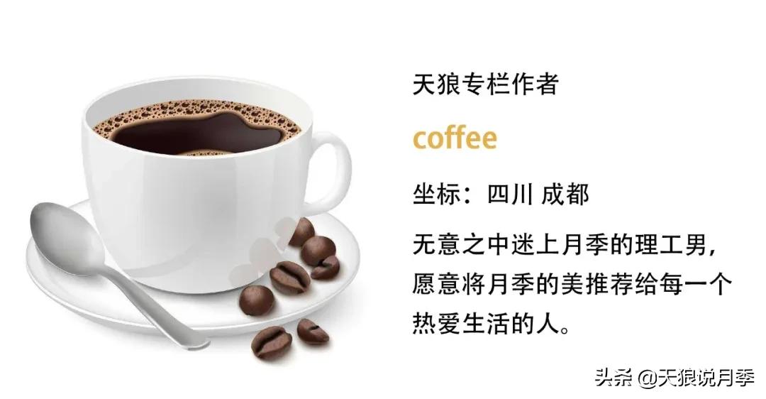 六款香水,6款香水