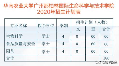 性价比高的国际教育,性价比高国际学校
