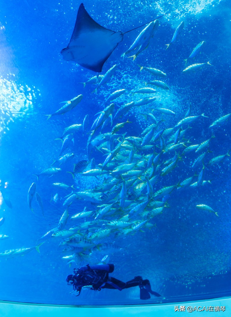 吃喝玩乐in珠海,珠海吃喝玩乐一体的地方