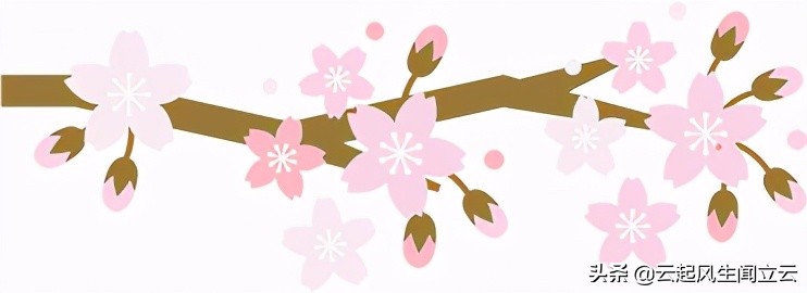 随州县城网红打卡地,随州市曾都区旅游景点