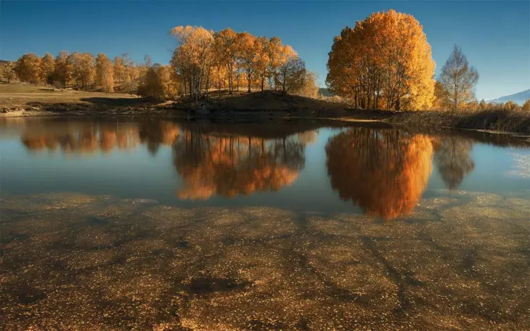 当代美诗都在此！和尚诗壁（76）回望当年牵手处，而今唯有落花新