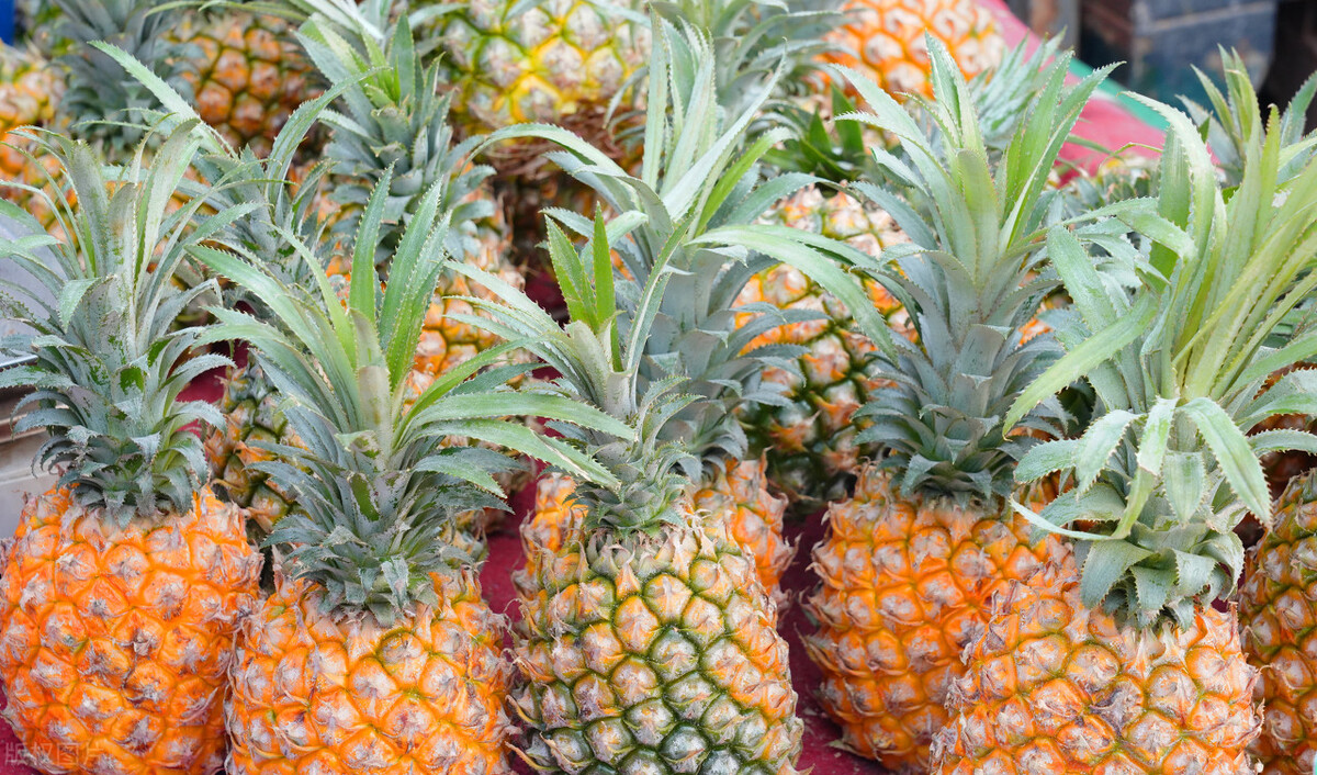 谷雨吃什么传统食物,谷雨前应季蔬菜有哪些
