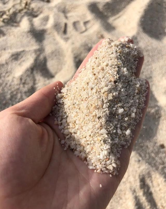 洛阳粉色花海,洛阳近郊惊现绝美花海