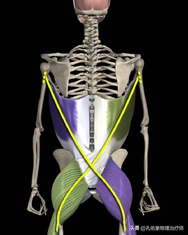 孕妈妈产后为什么会腰痛,产后三个月的宝妈腰酸腰疼咋回事