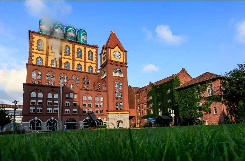 青岛五朵金花品牌在哪里,青岛五朵金花最新规划