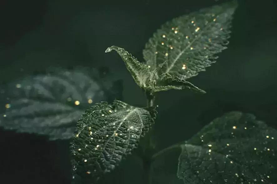 资生堂男士护肤品高端品牌,资生堂爸爸化妆品推荐