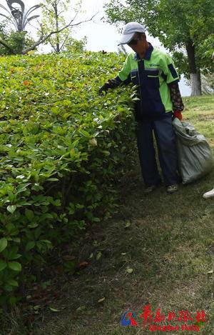 荒草掩路空空荡荡，多个展馆铁将军把门：被李沧区长打零分的世博园究竟怎么了？