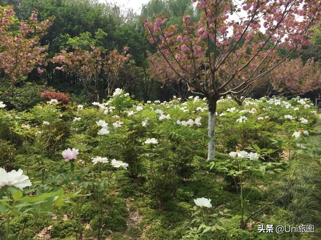 海外华人2019故乡行:去看看水漫金山的镇江金山江天禅寺,这个才是真正的金山寺,它今年真的没有被淹