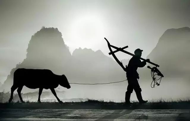 中国这个地方专出大老板！非常有意思！