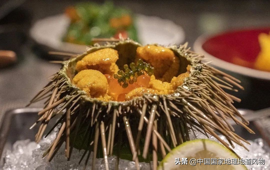 南方熟醉六月黄VS北方生腌皮皮虾,谁才是让人最爱的那口“鲜”?