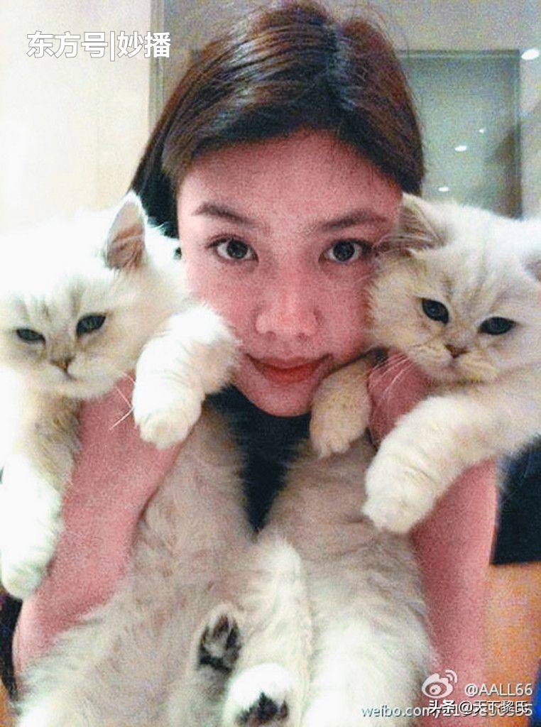 黎明获银紫荆勋章照片,黎明再获银紫荆星章慈善天王