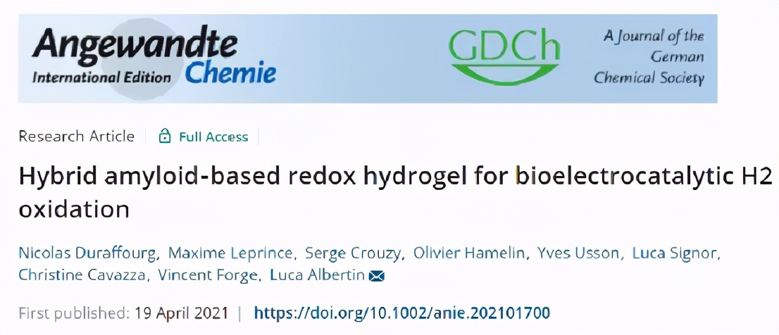 《Angew》混合淀粉样蛋白的氧化还原水凝胶用于生物电催化H2氧化