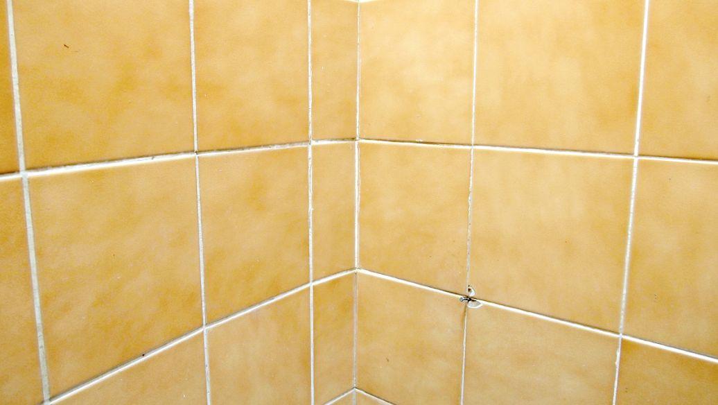 填缝料都有哪些,填缝料有什么缺点