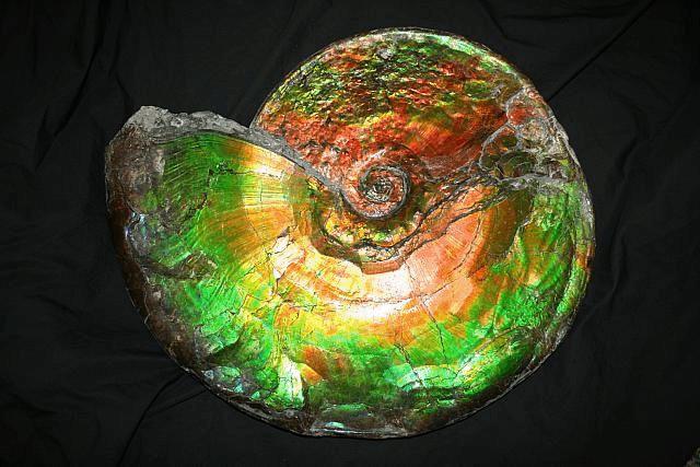 斑彩石家族的成员,斑彩石能量宝石