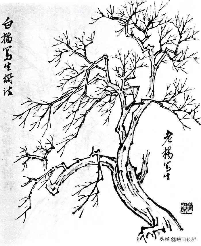 树枝怎么画最简单又好看图,工笔画树的画法视频