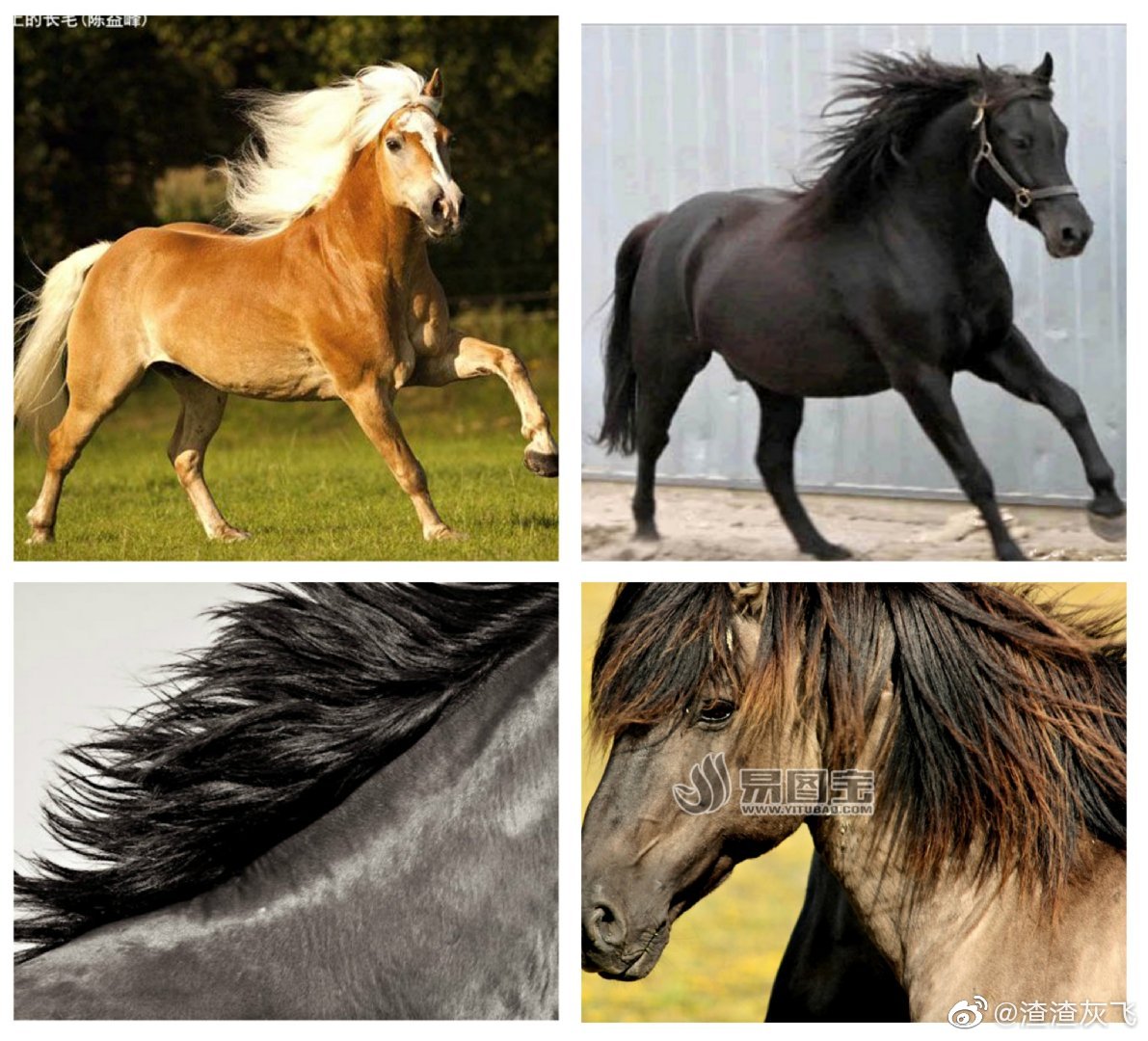 说文解字：流行于关中地区的biang到底什么意思？