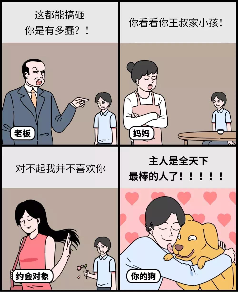 养狗和养猫的区别太真实了,养狗和养猫的五大区别