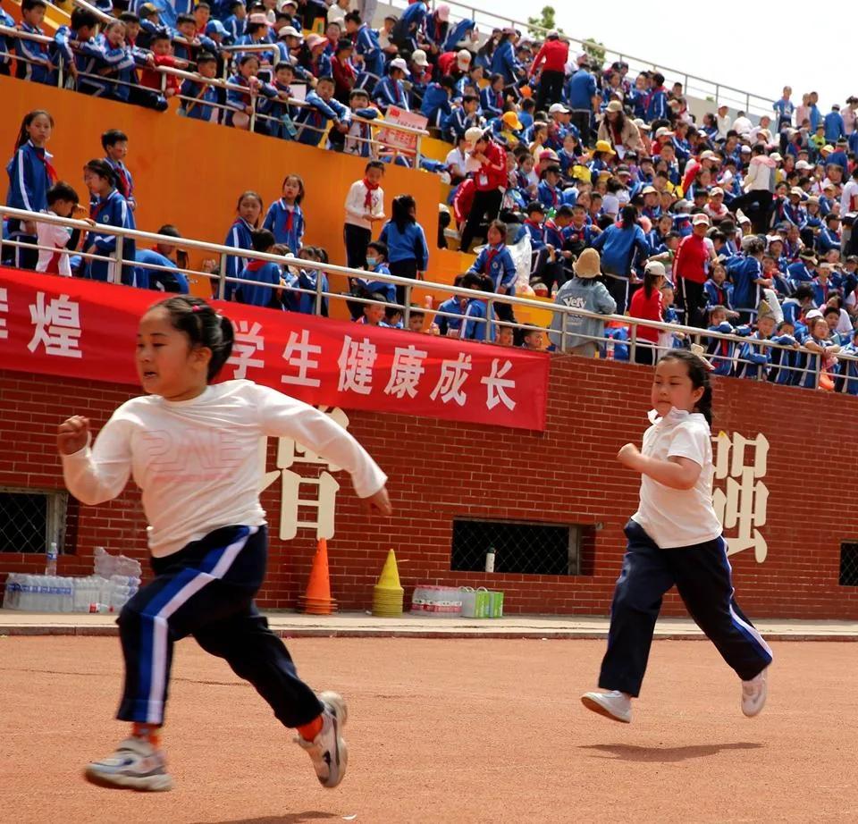 体育教育中的困惑,体育教育的不足