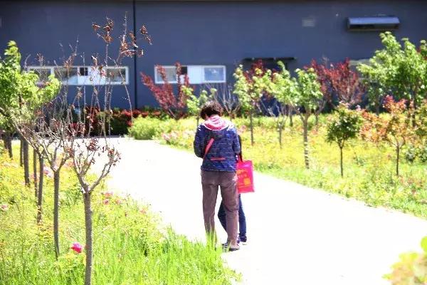 顺义城南体育中心室外场地开放,顺义区城南体育场开放时间