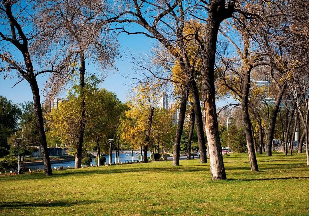 存量时代八个小时,存量时代的城市发展策略