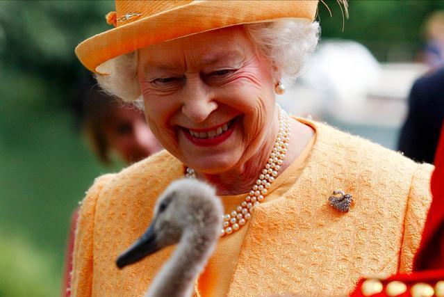 绅士照片英伦,绅士图片大全高清图