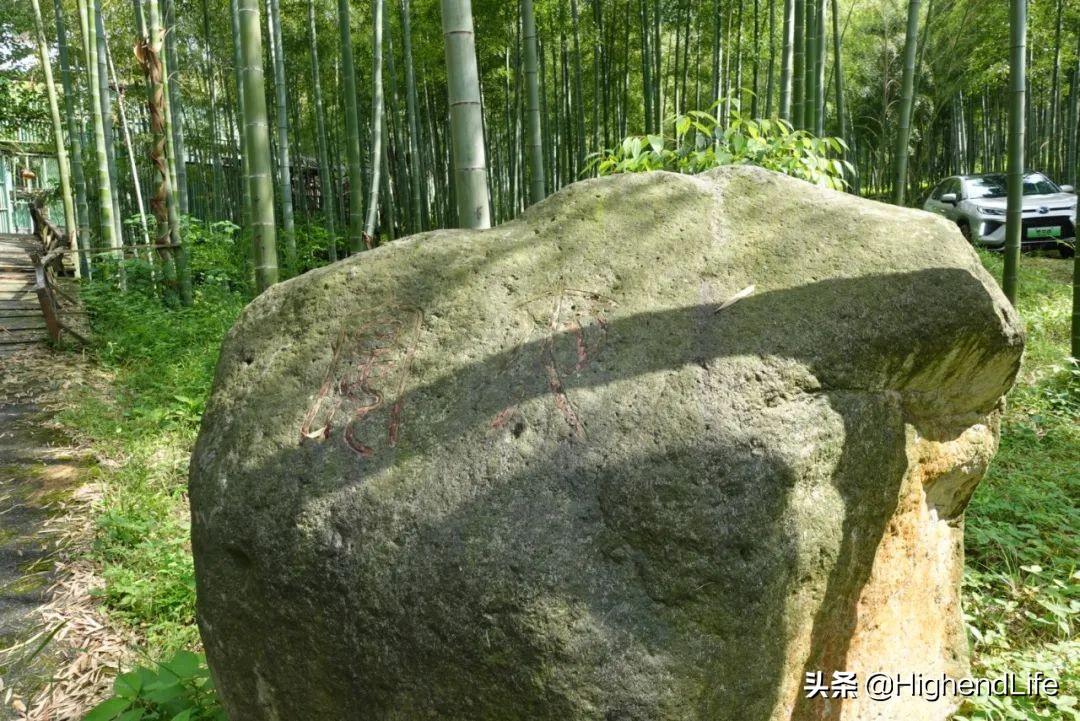 竹海、天池、蔓塘里丨请收下这份威兰达高性能版安吉自驾游指南