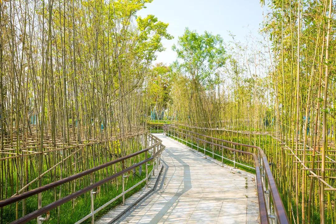 苏州泰康养老社区吴园养老费用,泰康苏州吴园养老社区