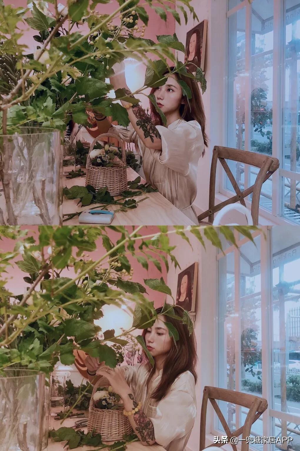 绉嶈崏鐢熸椿鏂瑰紡,绉嶈崏缁囧竷