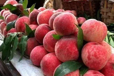 吃完西瓜不能喝绿豆汤吗,吃完西瓜不能吃桃