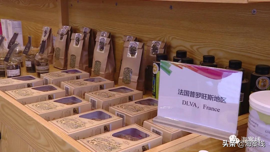 南宁东博会最新进展,南宁国际友城