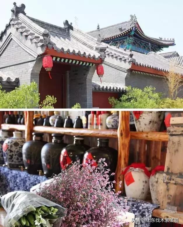 自驾游山东日照网红打卡旅游攻略,东夷花仙子美景