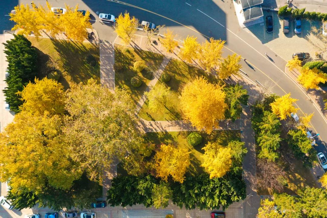 醉美大工秋|读书不觉已秋深，____________