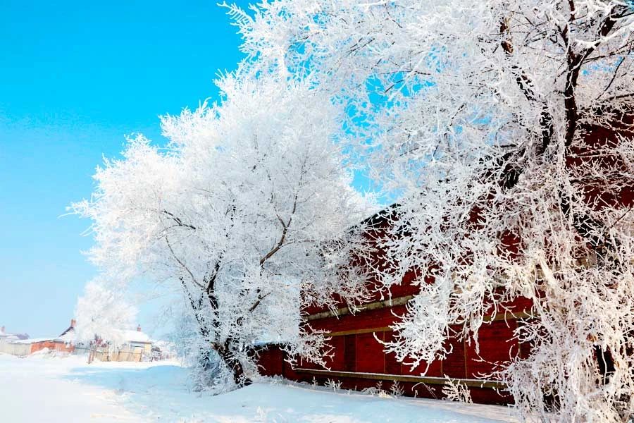 冬季的庭院景观,美丽如画的自然景观让人心旷神怡