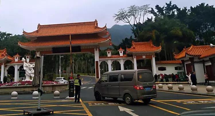 美翻了！过年到香港看烟花，23888枚闪亮夜空！还有……