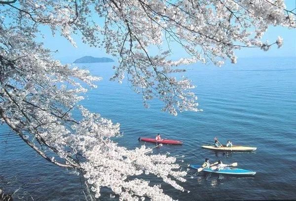 探索整个日本的手游,探索日本之旅