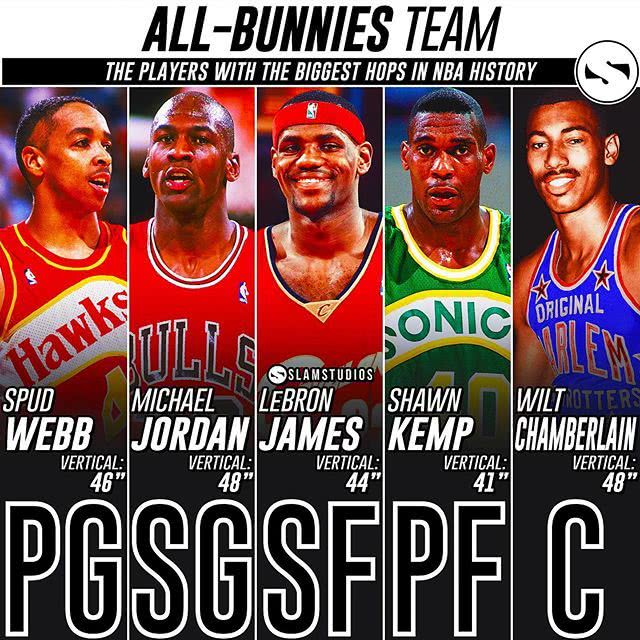 美媒nba历史十大控球后卫,nba弹跳最强的十个球员