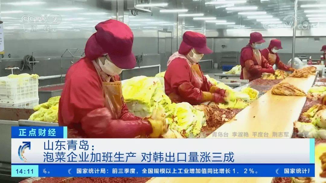 李子柒被评论视频,李子柒做泡菜遭韩国网友围攻后续