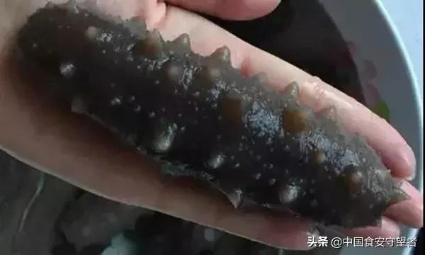 打假海参索赔庭审现场,打假人员购买海参后赔偿