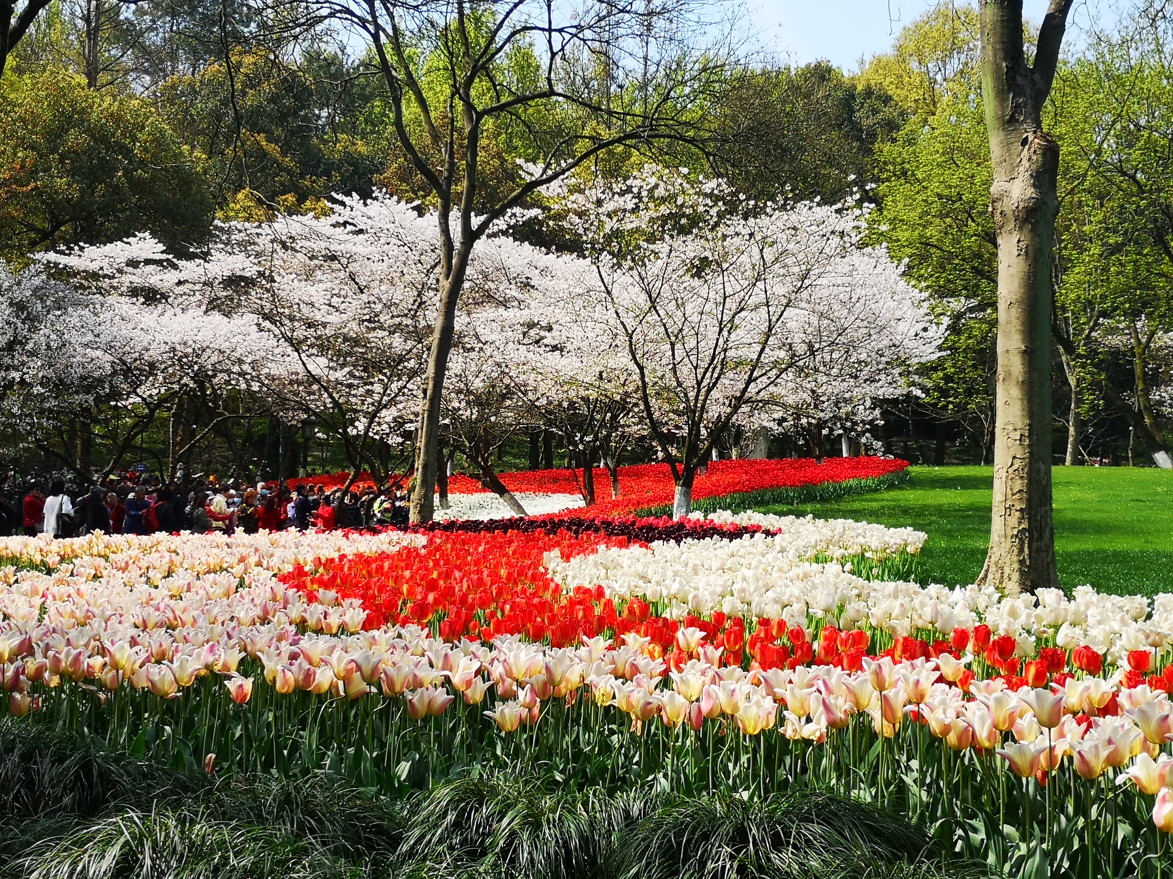 杭州游玩穷游必去景点攻略,杭州穷游攻略必去景点排名