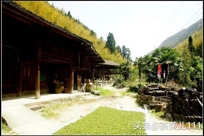 金骏眉和正山小种哪种茶贵,金骏眉和正山小种价格哪个贵