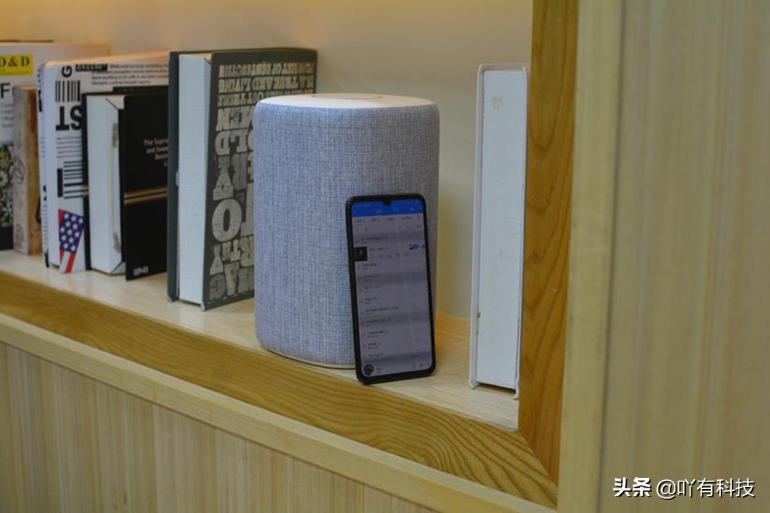 小米小爱音箱499,小米小爱音箱229音质