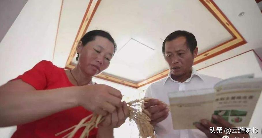 在逃离穷山沟前，无意间留下了自己的电话号码，却改写了她的人生