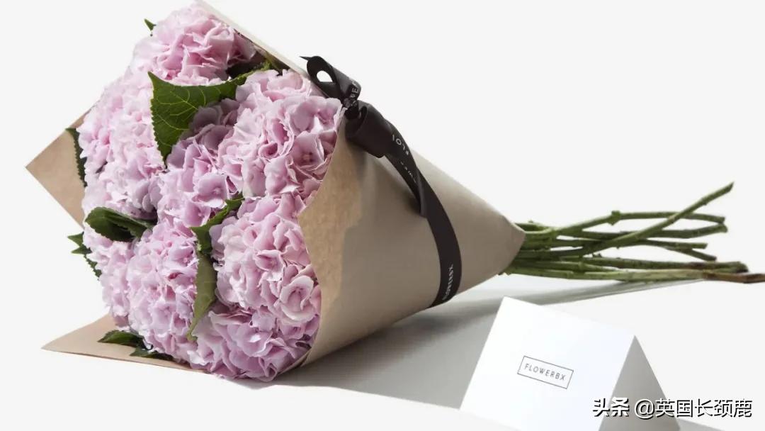 情人节来了怎么少的了fafa?英国鲜花速递服务大盘点:浪漫满分