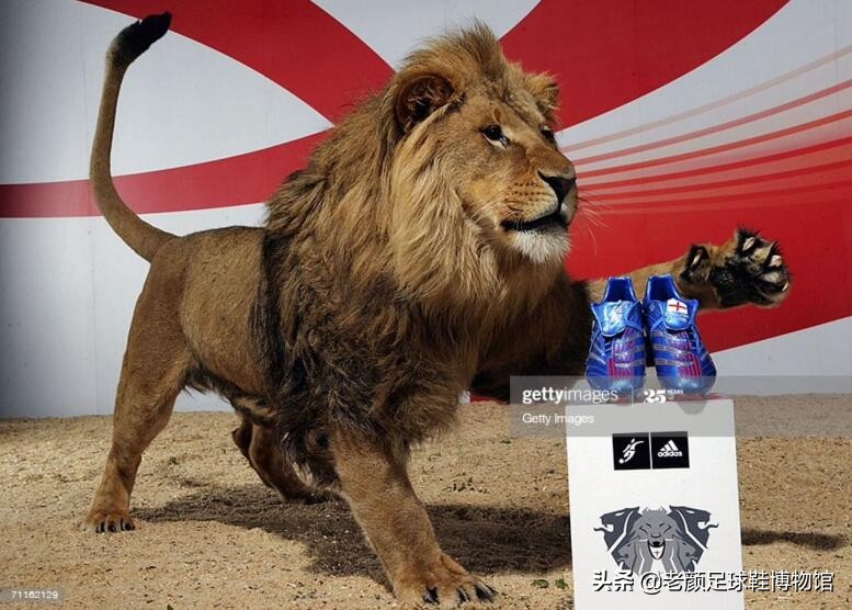 小贝当年多风光，三个儿子都穿德产定制鞋，球鞋广告动用百兽之王